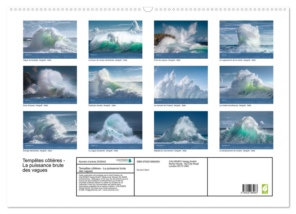 Tempêtes côtières - La puissance brute des vagues (CALVENDO Calendrier mensuel 2027)