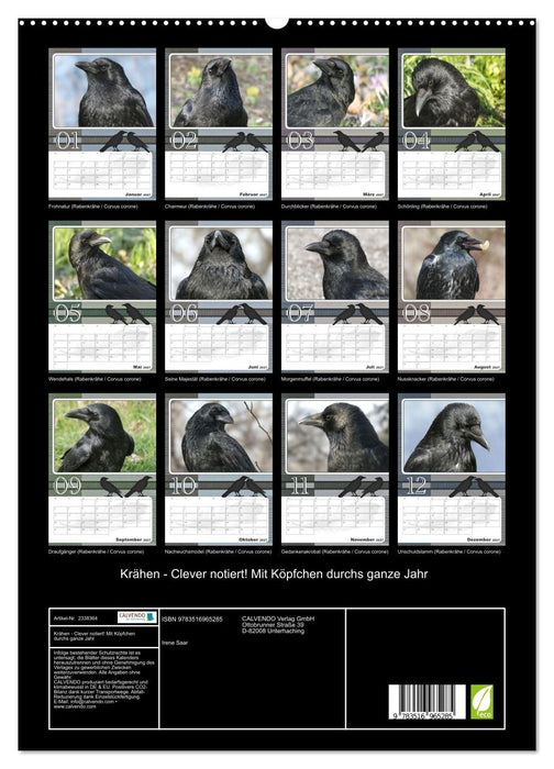 Krähen - Clever notiert! Mit Köpfchen durchs ganze Jahr (CALVENDO Premium Wandkalender 2027)