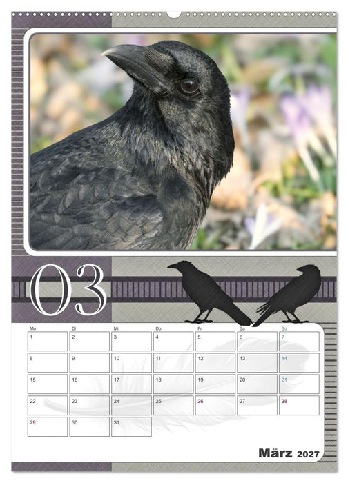 Krähen - Clever notiert! Mit Köpfchen durchs ganze Jahr (CALVENDO Premium Wandkalender 2027)