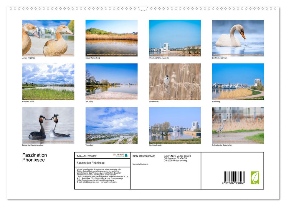 Faszination Phönixsee (CALVENDO Premium Wandkalender 2027)