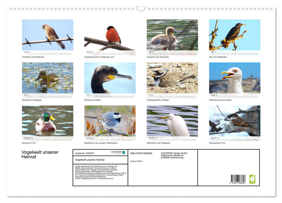 Vogelwelt unserer Heimat (CALVENDO Wandkalender 2027)