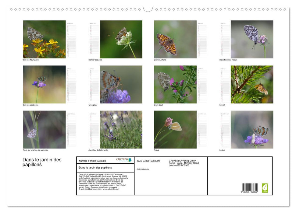Dans le jardin des papillons (CALVENDO Calendrier mensuel 2027)