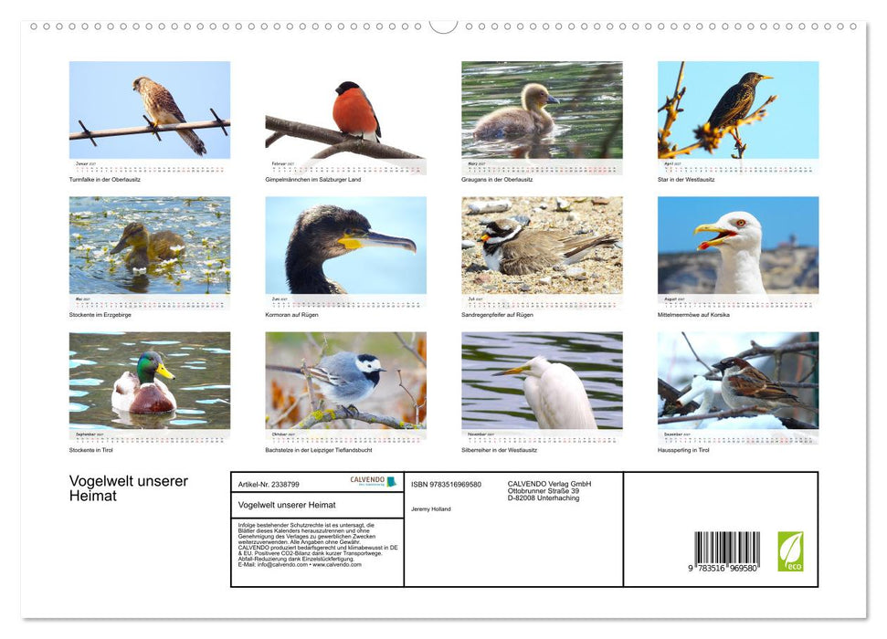 Vogelwelt unserer Heimat (CALVENDO Premium Wandkalender 2027)