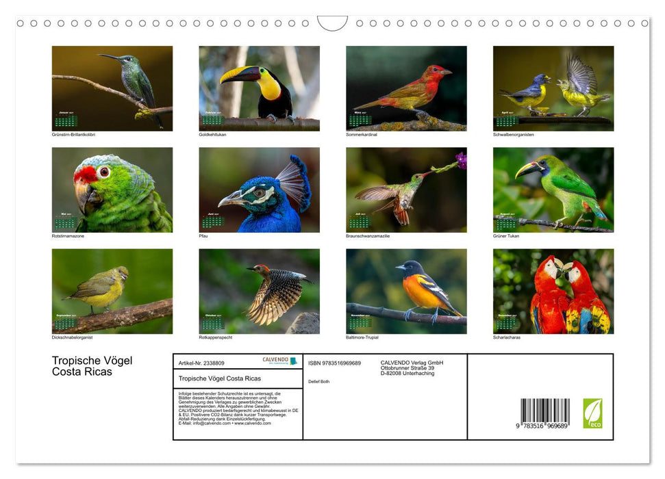 Tropische Vögel Costa Ricas (CALVENDO Wandkalender 2027)