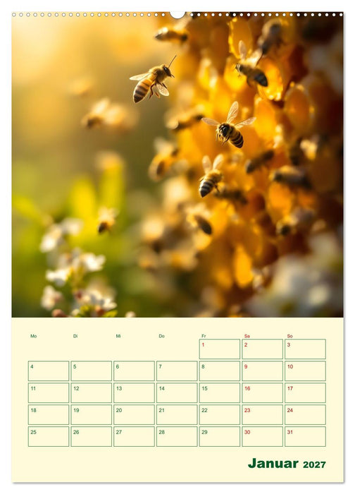 Bienenblick – Ein Jahr mit den Bienen (CALVENDO Wandkalender 2027)