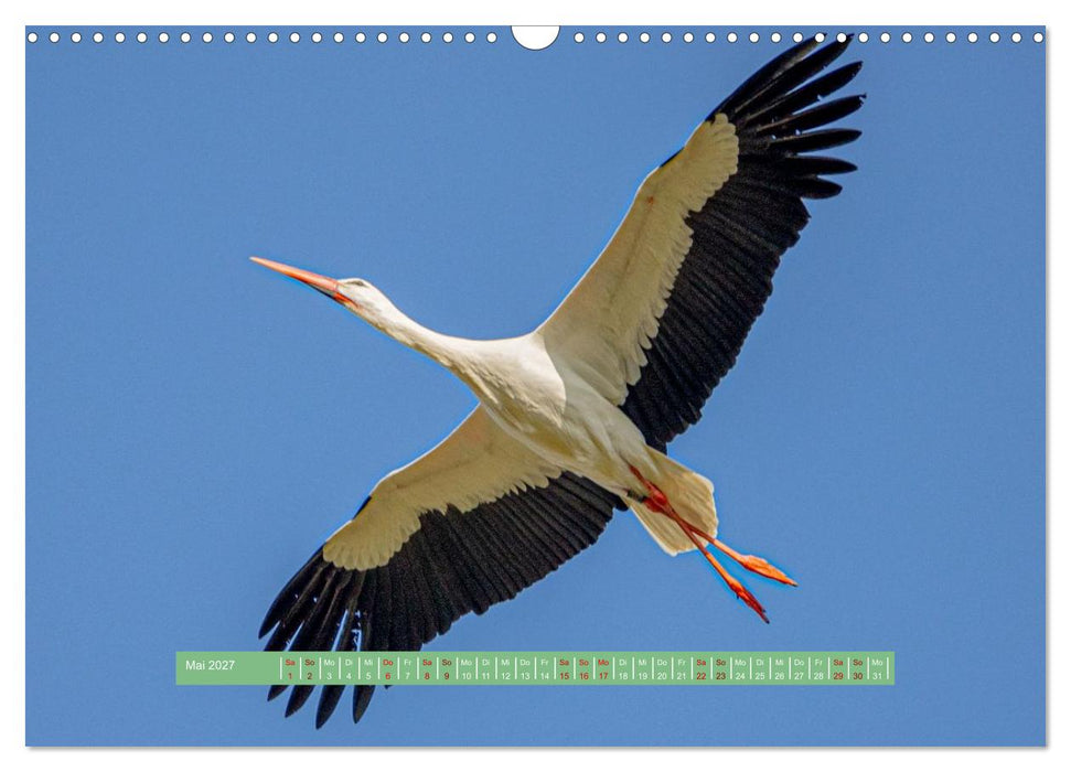 Wolfsburg - einfach tierisch (CALVENDO Wandkalender 2027)