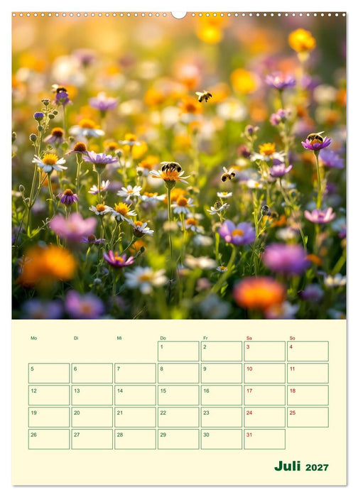 Bienenblick – Ein Jahr mit den Bienen (CALVENDO Premium Wandkalender 2027)