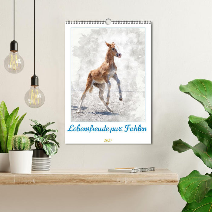 Lebensfreude pur: Fohlen (CALVENDO Wandkalender 2027)
