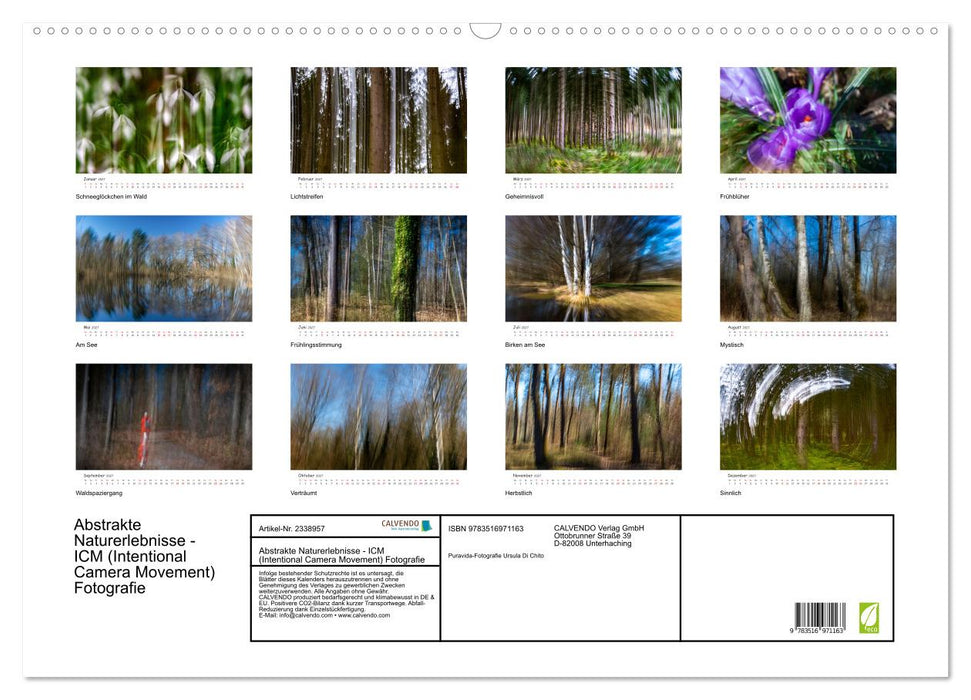 Abstrakte Naturerlebnisse - ICM (Intentional Camera Movement) Fotografie (CALVENDO Wandkalender 2027)