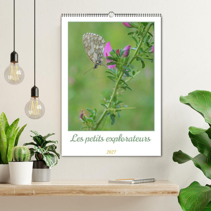 Les petits explorateurs (CALVENDO Calendrier mensuel 2027)