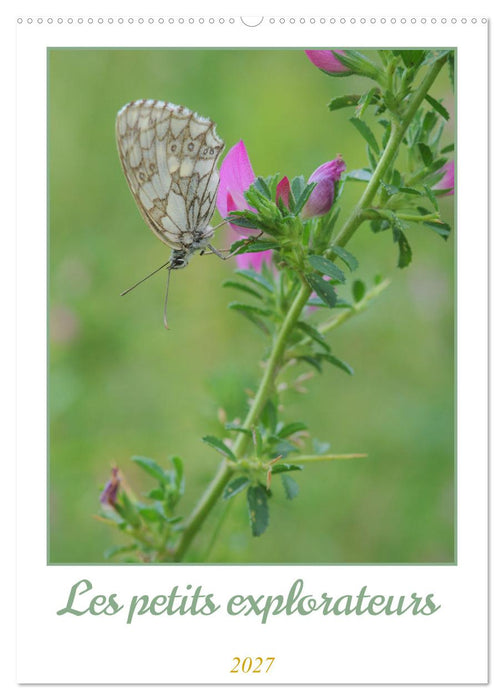 Les petits explorateurs (CALVENDO Calendrier mensuel 2027)