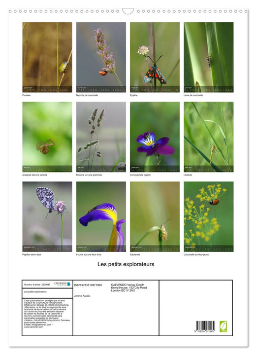 Les petits explorateurs (CALVENDO Calendrier mensuel 2027)