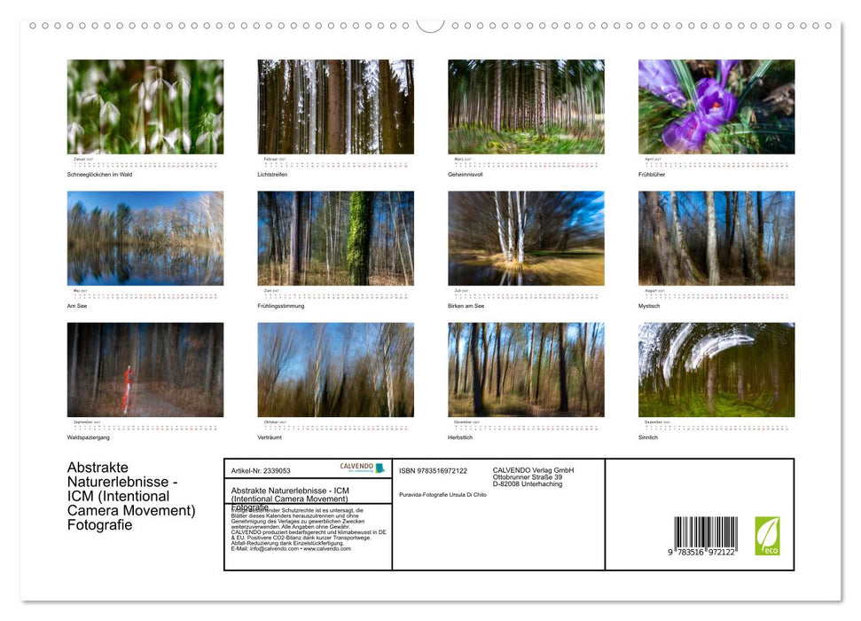 Abstrakte Naturerlebnisse - ICM (Intentional Camera Movement) Fotografie (CALVENDO Premium Wandkalender 2027)