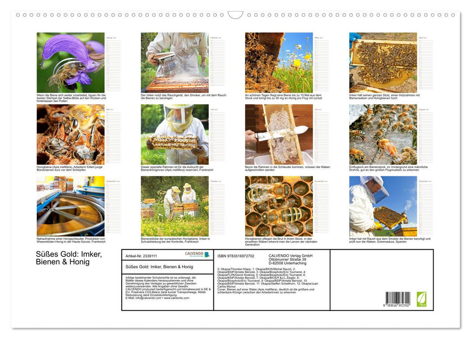 Süßes Gold: Imker, Bienen & Honig (CALVENDO Wandkalender 2027)