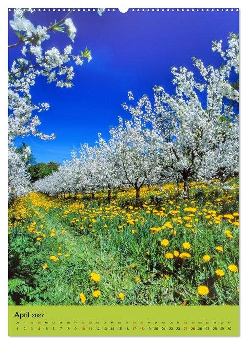 Schleswig-Holstein. Du bist so schön. (CALVENDO Premium Wandkalender 2027)