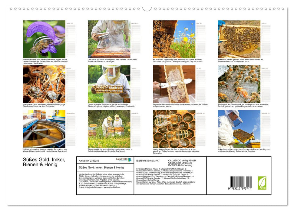 Süßes Gold: Imker, Bienen & Honig (CALVENDO Premium Wandkalender 2027)