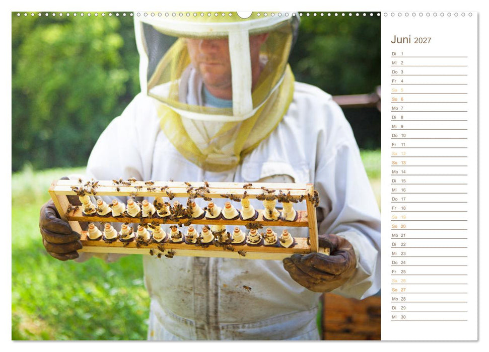 Süßes Gold: Imker, Bienen & Honig (CALVENDO Premium Wandkalender 2027)