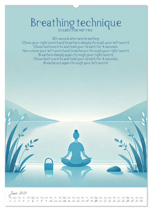 The anti-stress path - Monthly inspirations for more balance (CALVENDO Premium-Calendar 2027)