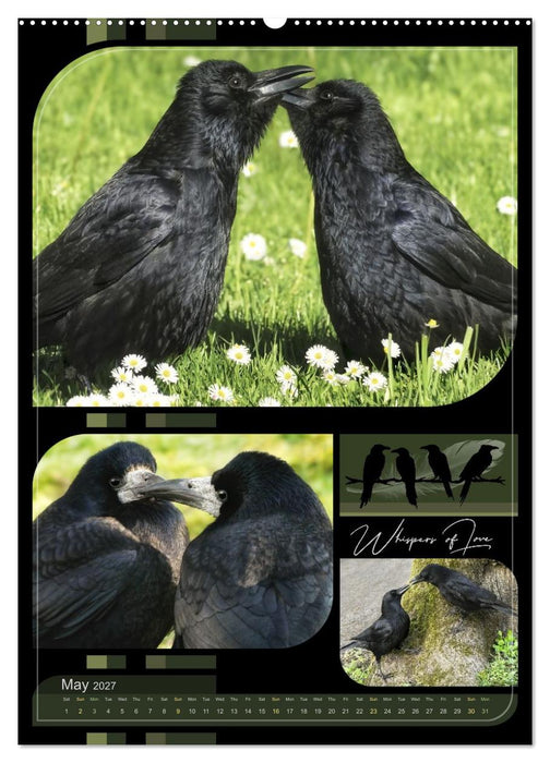 Crows - Through the Seasons (CALVENDO Monthly Calendar 2027)
