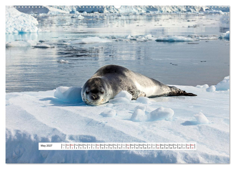 An Antarctic Expedition (CALVENDO Premium-Calendar 2027)