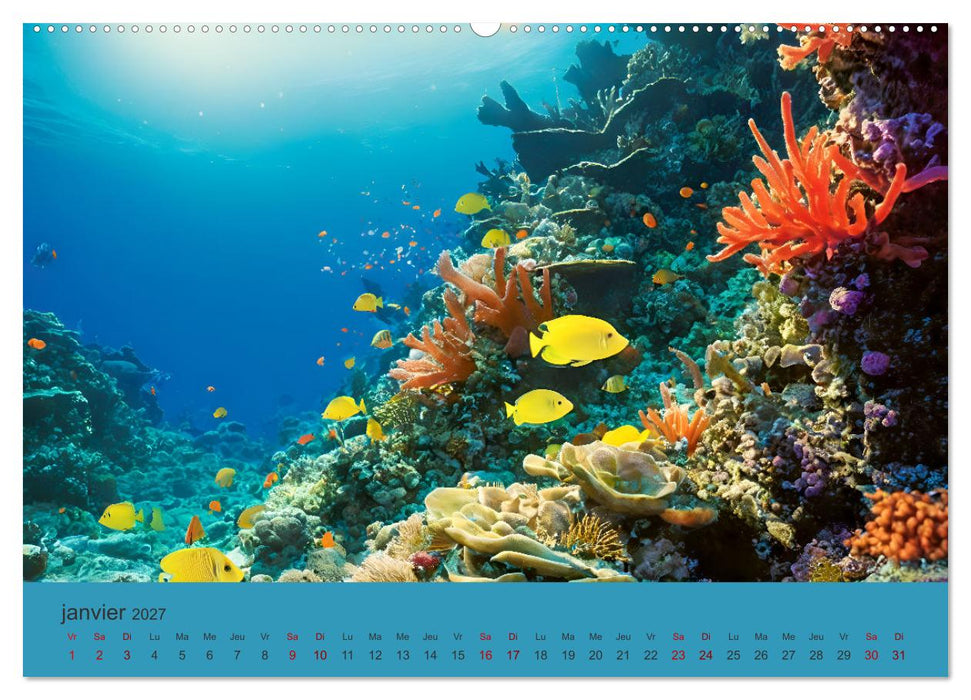 Paysages marins Une plongée fantastique (CALVENDO Calendrier mensuel 2027)