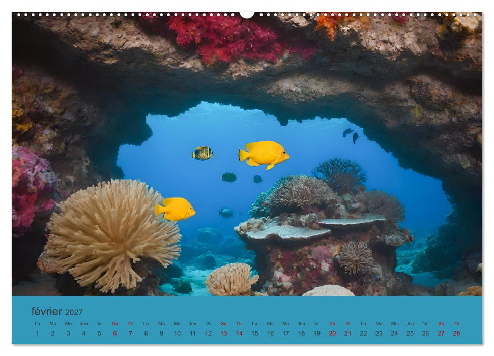 Paysages marins Une plongée fantastique (CALVENDO Calendrier mensuel 2027)
