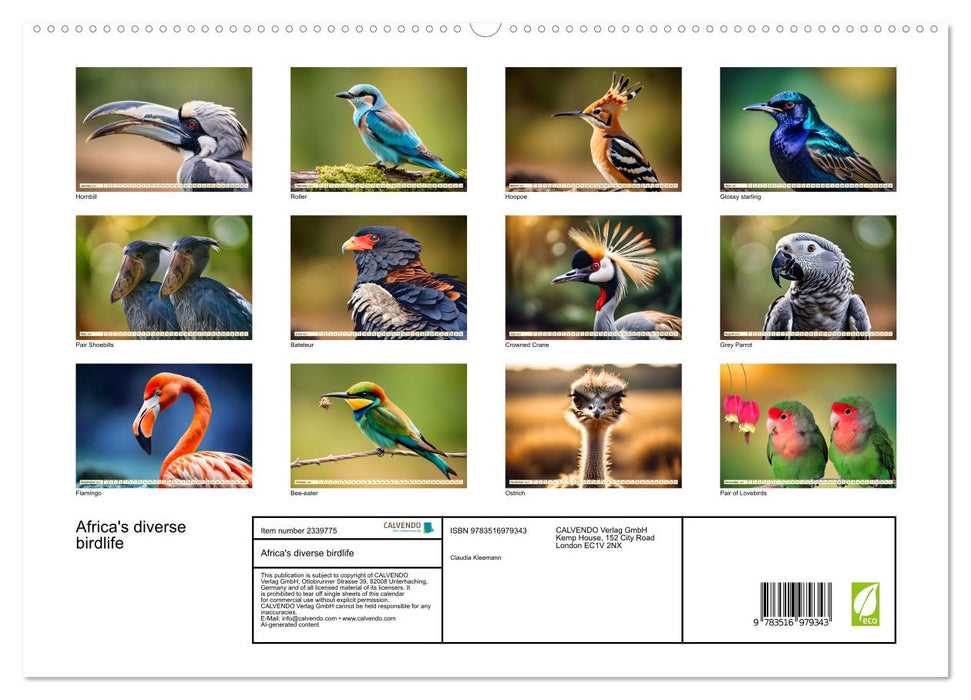 Africa's diverse birdlife (CALVENDO Premium-Calendar 2027)