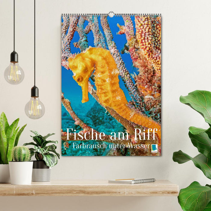 Farbrausch unter Wasser: Fische am Riff (CALVENDO Wandkalender 2027)