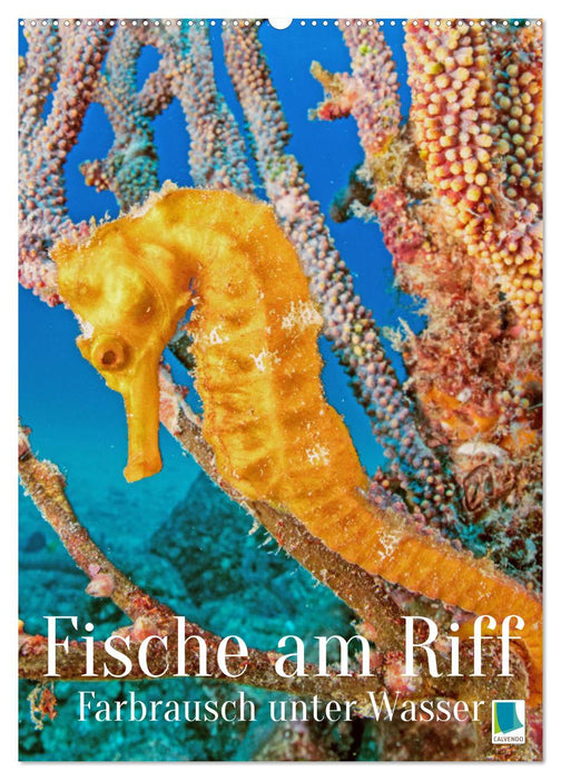 Farbrausch unter Wasser: Fische am Riff (CALVENDO Wandkalender 2027)