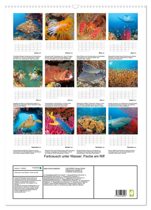 Farbrausch unter Wasser: Fische am Riff (CALVENDO Wandkalender 2027)
