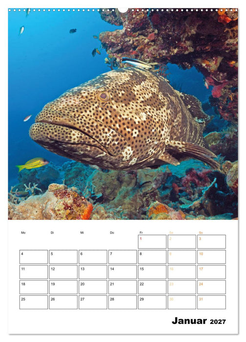 Farbrausch unter Wasser: Fische am Riff (CALVENDO Wandkalender 2027)