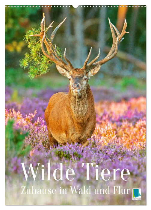 Wilde Tiere: Zuhause in Wald und Flur (CALVENDO Wandkalender 2027)