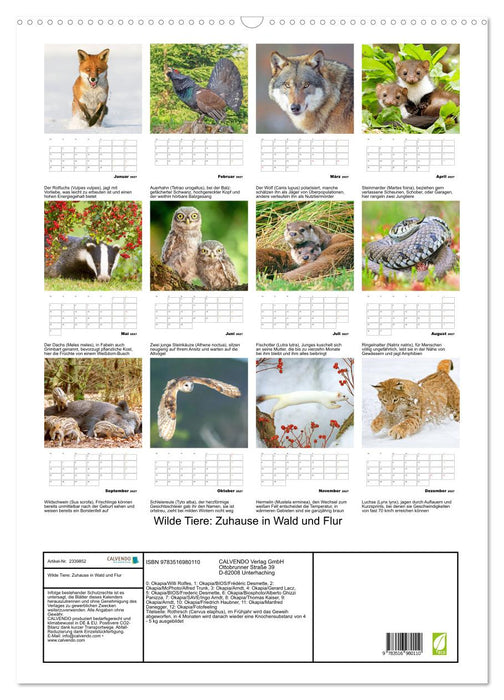 Wilde Tiere: Zuhause in Wald und Flur (CALVENDO Wandkalender 2027)
