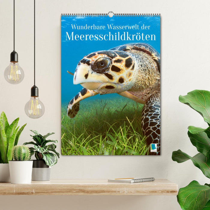Wunderbare Wasserwelt der Meeresschildkröten (CALVENDO Wandkalender 2027)