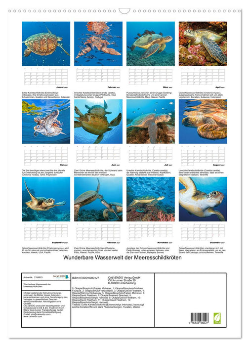 Wunderbare Wasserwelt der Meeresschildkröten (CALVENDO Wandkalender 2027)