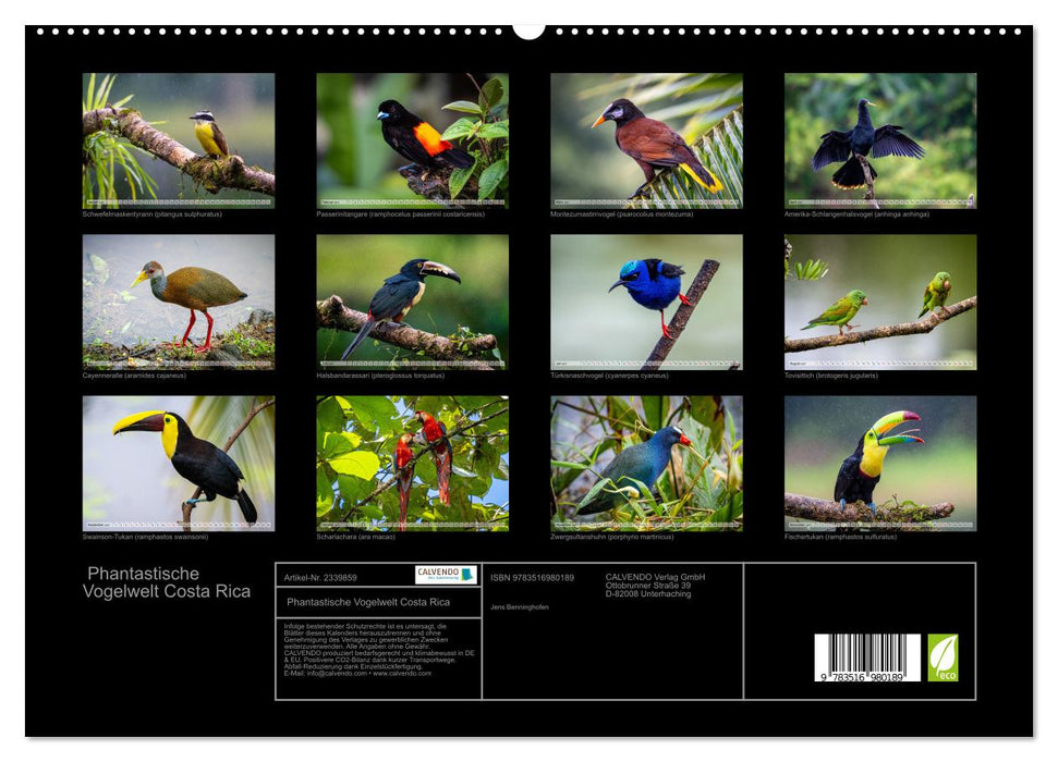 Phantastische Vogelwelt Costa Rica (CALVENDO Premium Wandkalender 2027)