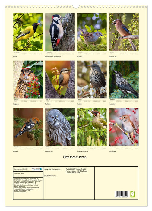 Shy forest birds (CALVENDO Monthly Calendar 2027)