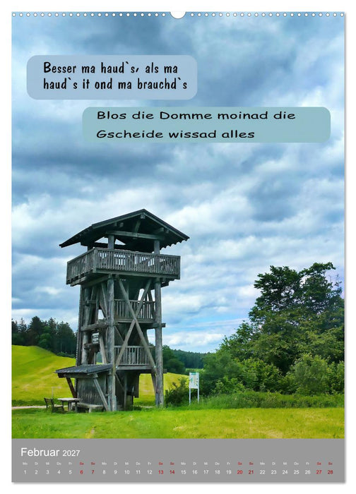 Schwäbische Sprichwörter Oifach g`redt (CALVENDO Premium Wandkalender 2027)