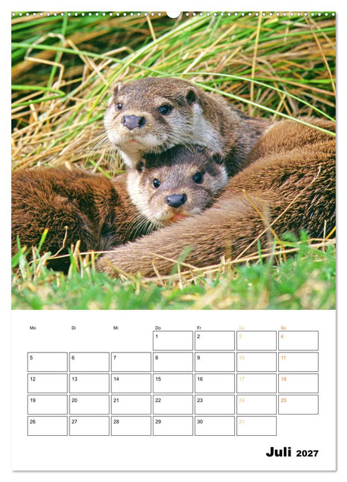 Wilde Tiere: Zuhause in Wald und Flur (CALVENDO Premium Wandkalender 2027)