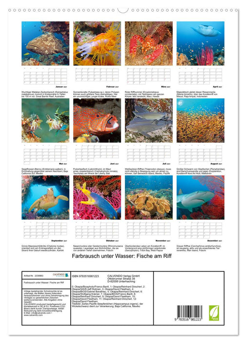 Farbrausch unter Wasser: Fische am Riff (CALVENDO Premium Wandkalender 2027)