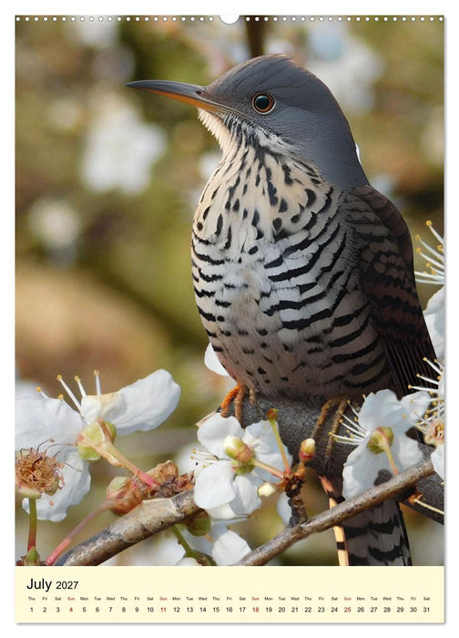 Shy forest birds (CALVENDO Premium-Calendar 2027)