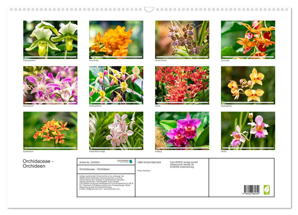 Orchidaceae - Orchideen (CALVENDO Wandkalender 2027)