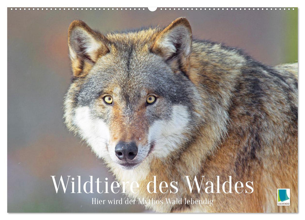 Wildtiere des Waldes: Hier wird der Mythos Wald lebendig (CALVENDO Wandkalender 2027)