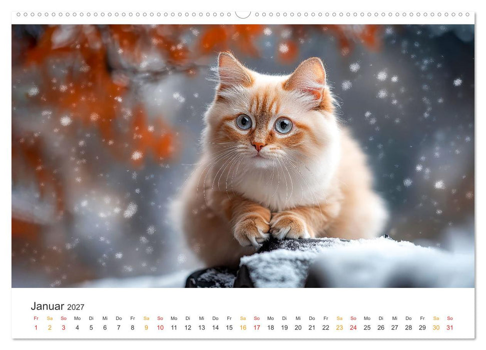 Katzen - Kalender für alle Miezenfans (CALVENDO Premium Wandkalender 2027)