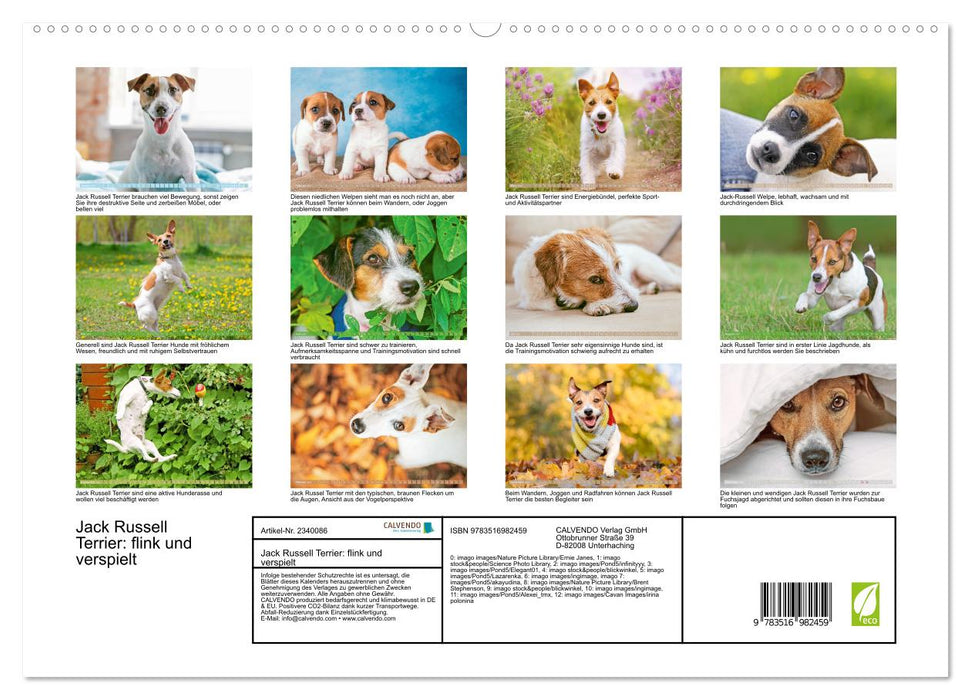 Jack Russell Terrier: flink und verspielt (CALVENDO Premium Wandkalender 2027)