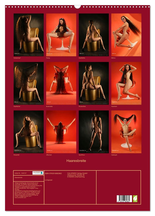 Haaresbreite (CALVENDO Wandkalender 2027)