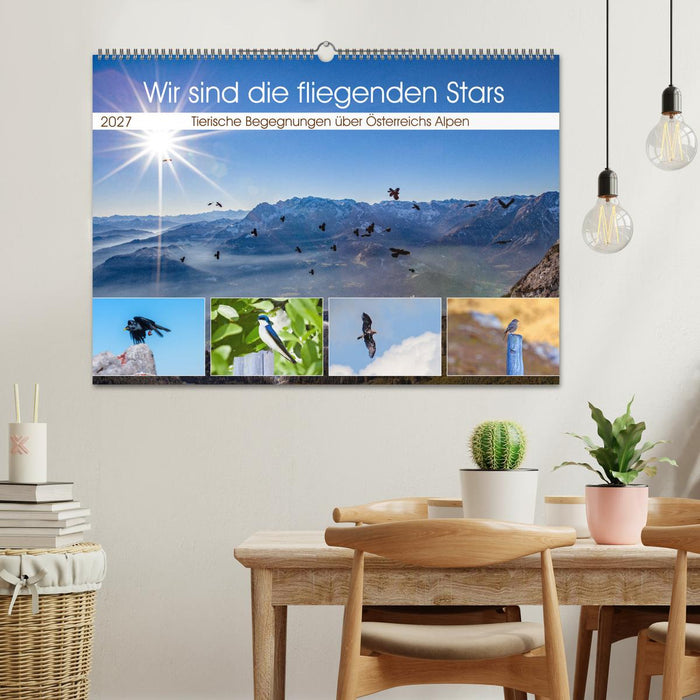 Wir sind die fliegenden Stars (CALVENDO Wandkalender 2027)