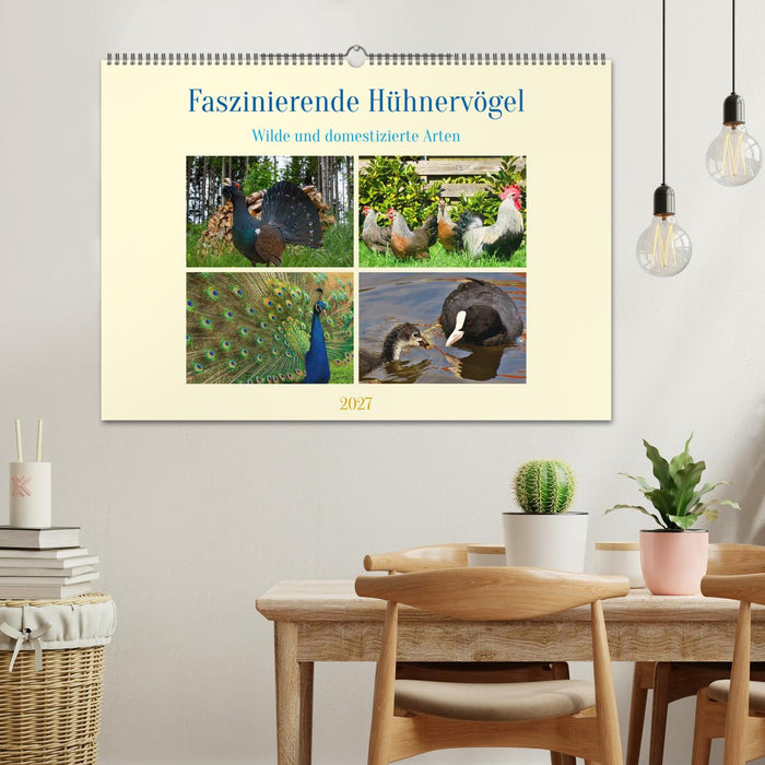 Faszinierende Hühnervögel (CALVENDO Wandkalender 2027)