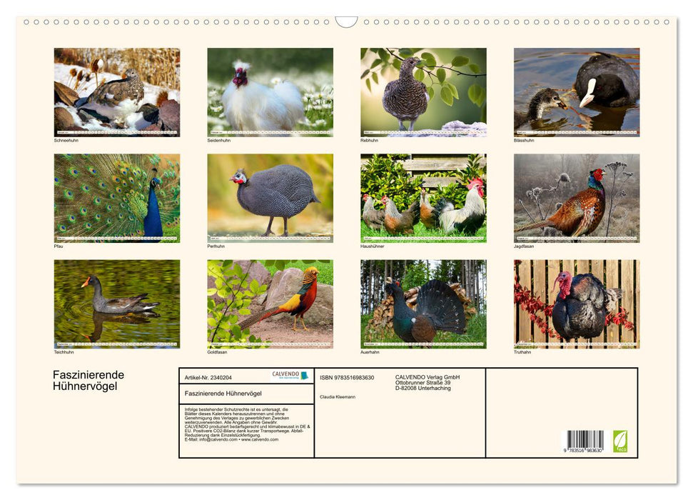 Faszinierende Hühnervögel (CALVENDO Wandkalender 2027)