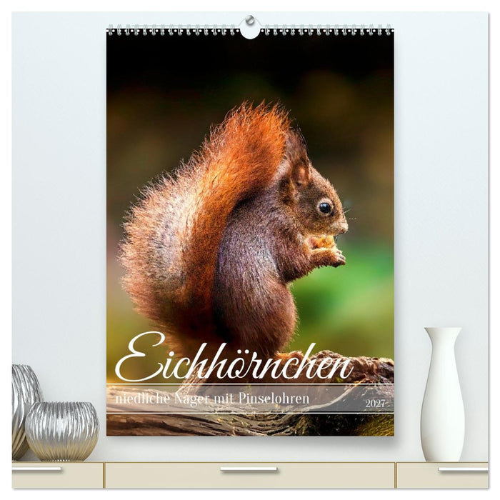 Niedlicher Nager - Das Eichhörnchen (CALVENDO Premium Wandkalender 2027)